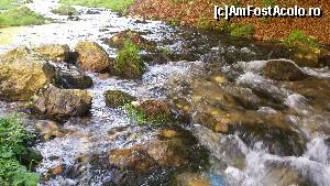 [P07] Pârâul Dâmbovicioara » foto by costy69*
 - 
<span class="allrVoted glyphicon glyphicon-heart hidden" id="av655595"></span>
<a class="m-l-10 hidden" id="sv655595" onclick="voting_Foto_DelVot(,655595,4190)" role="button">șterge vot <span class="glyphicon glyphicon-remove"></span></a>
<a id="v9655595" class=" c-red"  onclick="voting_Foto_SetVot(655595)" role="button"><span class="glyphicon glyphicon-heart-empty"></span> <b>LIKE</b> = Votează poza</a> <img class="hidden"  id="f655595W9" src="/imagini/loader.gif" border="0" /><span class="AjErrMes hidden" id="e655595ErM"></span>