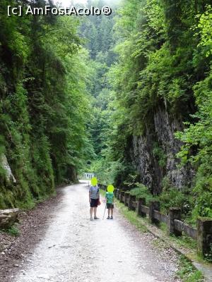 [P10] Pe chei - în spate se observă captarea izvorului „La Gâlgoaie”. » foto by tata123 🔱
 - 
<span class="allrVoted glyphicon glyphicon-heart hidden" id="av1308948"></span>
<a class="m-l-10 hidden" id="sv1308948" onclick="voting_Foto_DelVot(,1308948,4190)" role="button">șterge vot <span class="glyphicon glyphicon-remove"></span></a>
<a id="v91308948" class=" c-red"  onclick="voting_Foto_SetVot(1308948)" role="button"><span class="glyphicon glyphicon-heart-empty"></span> <b>LIKE</b> = Votează poza</a> <img class="hidden"  id="f1308948W9" src="/imagini/loader.gif" border="0" /><span class="AjErrMes hidden" id="e1308948ErM"></span>