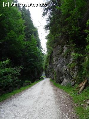 [P11] Sectorul cel mai îngust al cheilor. » foto by tata123 🔱
 - 
<span class="allrVoted glyphicon glyphicon-heart hidden" id="av1308949"></span>
<a class="m-l-10 hidden" id="sv1308949" onclick="voting_Foto_DelVot(,1308949,4190)" role="button">șterge vot <span class="glyphicon glyphicon-remove"></span></a>
<a id="v91308949" class=" c-red"  onclick="voting_Foto_SetVot(1308949)" role="button"><span class="glyphicon glyphicon-heart-empty"></span> <b>LIKE</b> = Votează poza</a> <img class="hidden"  id="f1308949W9" src="/imagini/loader.gif" border="0" /><span class="AjErrMes hidden" id="e1308949ErM"></span>