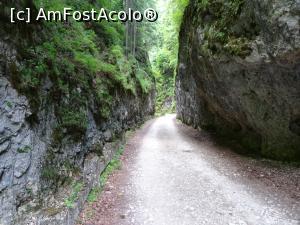 [P12] Pereții de stâncă se apropie... » foto by tata123 🔱
 - 
<span class="allrVoted glyphicon glyphicon-heart hidden" id="av1308950"></span>
<a class="m-l-10 hidden" id="sv1308950" onclick="voting_Foto_DelVot(,1308950,4190)" role="button">șterge vot <span class="glyphicon glyphicon-remove"></span></a>
<a id="v91308950" class=" c-red"  onclick="voting_Foto_SetVot(1308950)" role="button"><span class="glyphicon glyphicon-heart-empty"></span> <b>LIKE</b> = Votează poza</a> <img class="hidden"  id="f1308950W9" src="/imagini/loader.gif" border="0" /><span class="AjErrMes hidden" id="e1308950ErM"></span>