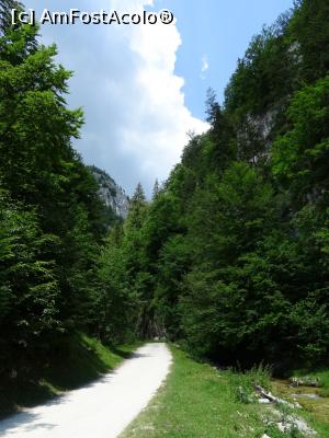 [P02] Drumul urmează cursul râului Brustureț. » foto by tata123 🔱
 - 
<span class="allrVoted glyphicon glyphicon-heart hidden" id="av1308940"></span>
<a class="m-l-10 hidden" id="sv1308940" onclick="voting_Foto_DelVot(,1308940,4190)" role="button">șterge vot <span class="glyphicon glyphicon-remove"></span></a>
<a id="v91308940" class=" c-red"  onclick="voting_Foto_SetVot(1308940)" role="button"><span class="glyphicon glyphicon-heart-empty"></span> <b>LIKE</b> = Votează poza</a> <img class="hidden"  id="f1308940W9" src="/imagini/loader.gif" border="0" /><span class="AjErrMes hidden" id="e1308940ErM"></span>