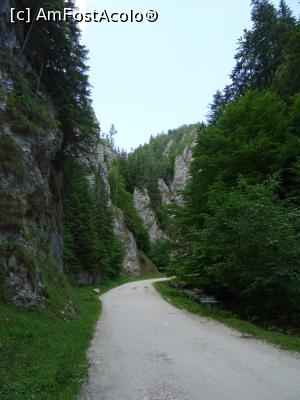 [P05] Spre Amfiteatrul Dracilor. » foto by tata123 🔱
 - 
<span class="allrVoted glyphicon glyphicon-heart hidden" id="av1308943"></span>
<a class="m-l-10 hidden" id="sv1308943" onclick="voting_Foto_DelVot(,1308943,4190)" role="button">șterge vot <span class="glyphicon glyphicon-remove"></span></a>
<a id="v91308943" class=" c-red"  onclick="voting_Foto_SetVot(1308943)" role="button"><span class="glyphicon glyphicon-heart-empty"></span> <b>LIKE</b> = Votează poza</a> <img class="hidden"  id="f1308943W9" src="/imagini/loader.gif" border="0" /><span class="AjErrMes hidden" id="e1308943ErM"></span>