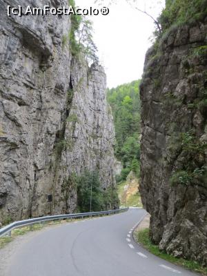 [P15] Pereți de piatră - Cheile Dâmbovicioarei. » foto by tata123 🔱
 - 
<span class="allrVoted glyphicon glyphicon-heart hidden" id="av1169708"></span>
<a class="m-l-10 hidden" id="sv1169708" onclick="voting_Foto_DelVot(,1169708,4190)" role="button">șterge vot <span class="glyphicon glyphicon-remove"></span></a>
<a id="v91169708" class=" c-red"  onclick="voting_Foto_SetVot(1169708)" role="button"><span class="glyphicon glyphicon-heart-empty"></span> <b>LIKE</b> = Votează poza</a> <img class="hidden"  id="f1169708W9" src="/imagini/loader.gif" border="0" /><span class="AjErrMes hidden" id="e1169708ErM"></span>