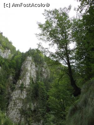 [P17] Natură - Cheile Dâmbovicioarei. » foto by tata123 🔱
 - 
<span class="allrVoted glyphicon glyphicon-heart hidden" id="av1169710"></span>
<a class="m-l-10 hidden" id="sv1169710" onclick="voting_Foto_DelVot(,1169710,4190)" role="button">șterge vot <span class="glyphicon glyphicon-remove"></span></a>
<a id="v91169710" class=" c-red"  onclick="voting_Foto_SetVot(1169710)" role="button"><span class="glyphicon glyphicon-heart-empty"></span> <b>LIKE</b> = Votează poza</a> <img class="hidden"  id="f1169710W9" src="/imagini/loader.gif" border="0" /><span class="AjErrMes hidden" id="e1169710ErM"></span>