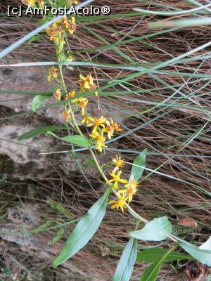 [P18] Natură - Cheile Dâmbovicioarei. » foto by tata123 🔱
 - 
<span class="allrVoted glyphicon glyphicon-heart hidden" id="av1169711"></span>
<a class="m-l-10 hidden" id="sv1169711" onclick="voting_Foto_DelVot(,1169711,4190)" role="button">șterge vot <span class="glyphicon glyphicon-remove"></span></a>
<a id="v91169711" class=" c-red"  onclick="voting_Foto_SetVot(1169711)" role="button"><span class="glyphicon glyphicon-heart-empty"></span> <b>LIKE</b> = Votează poza</a> <img class="hidden"  id="f1169711W9" src="/imagini/loader.gif" border="0" /><span class="AjErrMes hidden" id="e1169711ErM"></span>