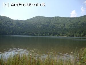 [P61] Lacul Sfânta Ana - aruncăm o ultimă privire! Vom reveni acolo!  » foto by Floryn81
 - 
<span class="allrVoted glyphicon glyphicon-heart hidden" id="av800051"></span>
<a class="m-l-10 hidden" id="sv800051" onclick="voting_Foto_DelVot(,800051,4197)" role="button">șterge vot <span class="glyphicon glyphicon-remove"></span></a>
<a id="v9800051" class=" c-red"  onclick="voting_Foto_SetVot(800051)" role="button"><span class="glyphicon glyphicon-heart-empty"></span> <b>LIKE</b> = Votează poza</a> <img class="hidden"  id="f800051W9" src="/imagini/loader.gif" border="0" /><span class="AjErrMes hidden" id="e800051ErM"></span>