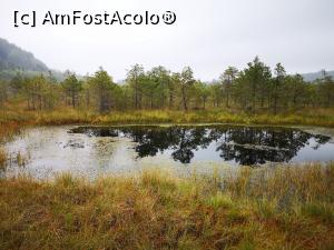 [P24] Tinovul Mohoș; primul lac » foto by crismis
 - 
<span class="allrVoted glyphicon glyphicon-heart hidden" id="av1206149"></span>
<a class="m-l-10 hidden" id="sv1206149" onclick="voting_Foto_DelVot(,1206149,4197)" role="button">șterge vot <span class="glyphicon glyphicon-remove"></span></a>
<a id="v91206149" class=" c-red"  onclick="voting_Foto_SetVot(1206149)" role="button"><span class="glyphicon glyphicon-heart-empty"></span> <b>LIKE</b> = Votează poza</a> <img class="hidden"  id="f1206149W9" src="/imagini/loader.gif" border="0" /><span class="AjErrMes hidden" id="e1206149ErM"></span>