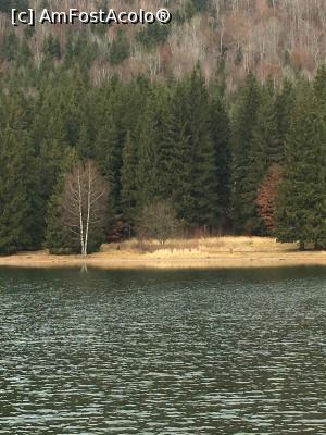[P10] Lacul » foto by Yersinia Pestis
 - 
<span class="allrVoted glyphicon glyphicon-heart hidden" id="av812225"></span>
<a class="m-l-10 hidden" id="sv812225" onclick="voting_Foto_DelVot(,812225,4197)" role="button">șterge vot <span class="glyphicon glyphicon-remove"></span></a>
<a id="v9812225" class=" c-red"  onclick="voting_Foto_SetVot(812225)" role="button"><span class="glyphicon glyphicon-heart-empty"></span> <b>LIKE</b> = Votează poza</a> <img class="hidden"  id="f812225W9" src="/imagini/loader.gif" border="0" /><span class="AjErrMes hidden" id="e812225ErM"></span>