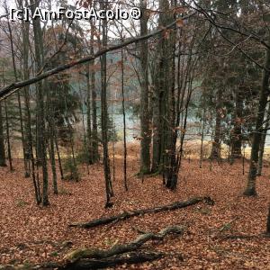 [P05] Același lac, văzut printre alți copaci.  » foto by Yersinia Pestis
 - 
<span class="allrVoted glyphicon glyphicon-heart hidden" id="av812220"></span>
<a class="m-l-10 hidden" id="sv812220" onclick="voting_Foto_DelVot(,812220,4197)" role="button">șterge vot <span class="glyphicon glyphicon-remove"></span></a>
<a id="v9812220" class=" c-red"  onclick="voting_Foto_SetVot(812220)" role="button"><span class="glyphicon glyphicon-heart-empty"></span> <b>LIKE</b> = Votează poza</a> <img class="hidden"  id="f812220W9" src="/imagini/loader.gif" border="0" /><span class="AjErrMes hidden" id="e812220ErM"></span>
