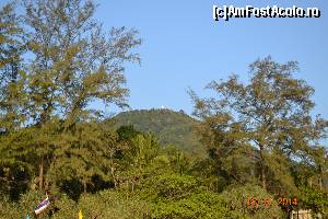 [P24] sus pe deal, Big Buddha » foto by andreea72
 - 
<span class="allrVoted glyphicon glyphicon-heart hidden" id="av569103"></span>
<a class="m-l-10 hidden" id="sv569103" onclick="voting_Foto_DelVot(,569103,4203)" role="button">șterge vot <span class="glyphicon glyphicon-remove"></span></a>
<a id="v9569103" class=" c-red"  onclick="voting_Foto_SetVot(569103)" role="button"><span class="glyphicon glyphicon-heart-empty"></span> <b>LIKE</b> = Votează poza</a> <img class="hidden"  id="f569103W9" src="/imagini/loader.gif" border="0" /><span class="AjErrMes hidden" id="e569103ErM"></span>