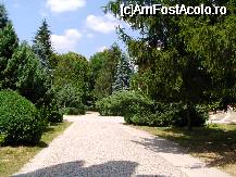 [P29]  -- <small>// FĂRĂ DESCRIERE</small> » foto by mario 110
 - 
<span class="allrVoted glyphicon glyphicon-heart hidden" id="av49054"></span>
<a class="m-l-10 hidden" id="sv49054" onclick="voting_Foto_DelVot(,49054,4208)" role="button">șterge vot <span class="glyphicon glyphicon-remove"></span></a>
<a id="v949054" class=" c-red"  onclick="voting_Foto_SetVot(49054)" role="button"><span class="glyphicon glyphicon-heart-empty"></span> <b>LIKE</b> = Votează poza</a> <img class="hidden"  id="f49054W9" src="/imagini/loader.gif" border="0" /><span class="AjErrMes hidden" id="e49054ErM"></span>