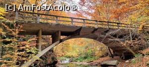 [P11] Pe Cheile Vâlsanului. » foto by tata123 🔱
 - 
<span class="allrVoted glyphicon glyphicon-heart hidden" id="av1504336"></span>
<a class="m-l-10 hidden" id="sv1504336" onclick="voting_Foto_DelVot(,1504336,4208)" role="button">șterge vot <span class="glyphicon glyphicon-remove"></span></a>
<a id="v91504336" class=" c-red"  onclick="voting_Foto_SetVot(1504336)" role="button"><span class="glyphicon glyphicon-heart-empty"></span> <b>LIKE</b> = Votează poza</a> <img class="hidden"  id="f1504336W9" src="/imagini/loader.gif" border="0" /><span class="AjErrMes hidden" id="e1504336ErM"></span>