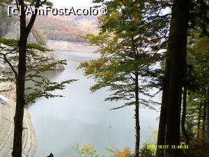 [P14] 14. Lacul este pe jumătate gol. » foto by msnd
 - 
<span class="allrVoted glyphicon glyphicon-heart hidden" id="av1504612"></span>
<a class="m-l-10 hidden" id="sv1504612" onclick="voting_Foto_DelVot(,1504612,4219)" role="button">șterge vot <span class="glyphicon glyphicon-remove"></span></a>
<a id="v91504612" class=" c-red"  onclick="voting_Foto_SetVot(1504612)" role="button"><span class="glyphicon glyphicon-heart-empty"></span> <b>LIKE</b> = Votează poza</a> <img class="hidden"  id="f1504612W9" src="/imagini/loader.gif" border="0" /><span class="AjErrMes hidden" id="e1504612ErM"></span>