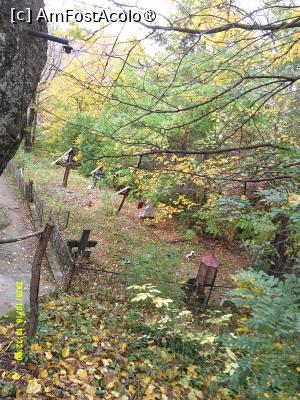 [P35] 35. În imediata vecinătate este și un mic cimitir. » foto by msnd
 - 
<span class="allrVoted glyphicon glyphicon-heart hidden" id="av1504633"></span>
<a class="m-l-10 hidden" id="sv1504633" onclick="voting_Foto_DelVot(,1504633,4219)" role="button">șterge vot <span class="glyphicon glyphicon-remove"></span></a>
<a id="v91504633" class=" c-red"  onclick="voting_Foto_SetVot(1504633)" role="button"><span class="glyphicon glyphicon-heart-empty"></span> <b>LIKE</b> = Votează poza</a> <img class="hidden"  id="f1504633W9" src="/imagini/loader.gif" border="0" /><span class="AjErrMes hidden" id="e1504633ErM"></span>