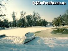 [P26] Iarnă deplină în Parcul Ștrand din Pitești » foto by mariana.olaru
 - 
<span class="allrVoted glyphicon glyphicon-heart hidden" id="av306837"></span>
<a class="m-l-10 hidden" id="sv306837" onclick="voting_Foto_DelVot(,306837,4219)" role="button">șterge vot <span class="glyphicon glyphicon-remove"></span></a>
<a id="v9306837" class=" c-red"  onclick="voting_Foto_SetVot(306837)" role="button"><span class="glyphicon glyphicon-heart-empty"></span> <b>LIKE</b> = Votează poza</a> <img class="hidden"  id="f306837W9" src="/imagini/loader.gif" border="0" /><span class="AjErrMes hidden" id="e306837ErM"></span>