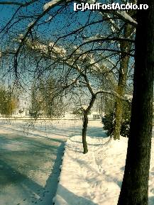 [P28] Parcul Ștrand din Pitești sub albul zăpezii » foto by mariana.olaru
 - 
<span class="allrVoted glyphicon glyphicon-heart hidden" id="av306839"></span>
<a class="m-l-10 hidden" id="sv306839" onclick="voting_Foto_DelVot(,306839,4219)" role="button">șterge vot <span class="glyphicon glyphicon-remove"></span></a>
<a id="v9306839" class=" c-red"  onclick="voting_Foto_SetVot(306839)" role="button"><span class="glyphicon glyphicon-heart-empty"></span> <b>LIKE</b> = Votează poza</a> <img class="hidden"  id="f306839W9" src="/imagini/loader.gif" border="0" /><span class="AjErrMes hidden" id="e306839ErM"></span>
