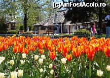 [P32] Parcul Ștrand din Pitești: Restaurantul Ștrand » foto by mariana.olaru
 - 
<span class="allrVoted glyphicon glyphicon-heart hidden" id="av306843"></span>
<a class="m-l-10 hidden" id="sv306843" onclick="voting_Foto_DelVot(,306843,4219)" role="button">șterge vot <span class="glyphicon glyphicon-remove"></span></a>
<a id="v9306843" class=" c-red"  onclick="voting_Foto_SetVot(306843)" role="button"><span class="glyphicon glyphicon-heart-empty"></span> <b>LIKE</b> = Votează poza</a> <img class="hidden"  id="f306843W9" src="/imagini/loader.gif" border="0" /><span class="AjErrMes hidden" id="e306843ErM"></span>