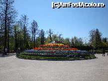 [P34] Parcul Ștrand din Pitești: un ...apetisant tort de flori! » foto by mariana.olaru
 - 
<span class="allrVoted glyphicon glyphicon-heart hidden" id="av306845"></span>
<a class="m-l-10 hidden" id="sv306845" onclick="voting_Foto_DelVot(,306845,4219)" role="button">șterge vot <span class="glyphicon glyphicon-remove"></span></a>
<a id="v9306845" class=" c-red"  onclick="voting_Foto_SetVot(306845)" role="button"><span class="glyphicon glyphicon-heart-empty"></span> <b>LIKE</b> = Votează poza</a> <img class="hidden"  id="f306845W9" src="/imagini/loader.gif" border="0" /><span class="AjErrMes hidden" id="e306845ErM"></span>