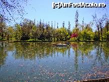 [P38] Lacul din Parcul Ștrand din Pitești » foto by mariana.olaru
 - 
<span class="allrVoted glyphicon glyphicon-heart hidden" id="av306849"></span>
<a class="m-l-10 hidden" id="sv306849" onclick="voting_Foto_DelVot(,306849,4219)" role="button">șterge vot <span class="glyphicon glyphicon-remove"></span></a>
<a id="v9306849" class=" c-red"  onclick="voting_Foto_SetVot(306849)" role="button"><span class="glyphicon glyphicon-heart-empty"></span> <b>LIKE</b> = Votează poza</a> <img class="hidden"  id="f306849W9" src="/imagini/loader.gif" border="0" /><span class="AjErrMes hidden" id="e306849ErM"></span>