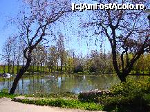 [P40] Parcul Ștrand din Pitești:lacul primăvara » foto by mariana.olaru
 - 
<span class="allrVoted glyphicon glyphicon-heart hidden" id="av306851"></span>
<a class="m-l-10 hidden" id="sv306851" onclick="voting_Foto_DelVot(,306851,4219)" role="button">șterge vot <span class="glyphicon glyphicon-remove"></span></a>
<a id="v9306851" class=" c-red"  onclick="voting_Foto_SetVot(306851)" role="button"><span class="glyphicon glyphicon-heart-empty"></span> <b>LIKE</b> = Votează poza</a> <img class="hidden"  id="f306851W9" src="/imagini/loader.gif" border="0" /><span class="AjErrMes hidden" id="e306851ErM"></span>