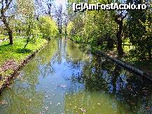 [P45] Primăvară timpurie pe unul din canalele Parcului Ștrand din Pitești » foto by mariana.olaru
 - 
<span class="allrVoted glyphicon glyphicon-heart hidden" id="av306856"></span>
<a class="m-l-10 hidden" id="sv306856" onclick="voting_Foto_DelVot(,306856,4219)" role="button">șterge vot <span class="glyphicon glyphicon-remove"></span></a>
<a id="v9306856" class=" c-red"  onclick="voting_Foto_SetVot(306856)" role="button"><span class="glyphicon glyphicon-heart-empty"></span> <b>LIKE</b> = Votează poza</a> <img class="hidden"  id="f306856W9" src="/imagini/loader.gif" border="0" /><span class="AjErrMes hidden" id="e306856ErM"></span>