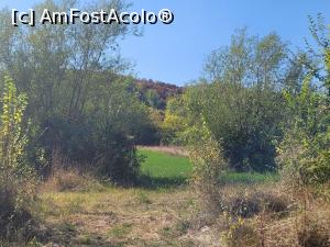 [P27]  -- <small>// FĂRĂ DESCRIERE</small> » foto by alexpetre2004
 - 
<span class="allrVoted glyphicon glyphicon-heart hidden" id="av1289734"></span>
<a class="m-l-10 hidden" id="sv1289734" onclick="voting_Foto_DelVot(,1289734,4219)" role="button">șterge vot <span class="glyphicon glyphicon-remove"></span></a>
<a id="v91289734" class=" c-red"  onclick="voting_Foto_SetVot(1289734)" role="button"><span class="glyphicon glyphicon-heart-empty"></span> <b>LIKE</b> = Votează poza</a> <img class="hidden"  id="f1289734W9" src="/imagini/loader.gif" border="0" /><span class="AjErrMes hidden" id="e1289734ErM"></span>