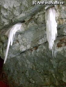 [P04] Pestera si ghetarul de la Scarisoara - apa ce curge din crapaturile pesterei formeaza stalactite » foto by Diaura*
 - 
<span class="allrVoted glyphicon glyphicon-heart hidden" id="av53002"></span>
<a class="m-l-10 hidden" id="sv53002" onclick="voting_Foto_DelVot(,53002,4234)" role="button">șterge vot <span class="glyphicon glyphicon-remove"></span></a>
<a id="v953002" class=" c-red"  onclick="voting_Foto_SetVot(53002)" role="button"><span class="glyphicon glyphicon-heart-empty"></span> <b>LIKE</b> = Votează poza</a> <img class="hidden"  id="f53002W9" src="/imagini/loader.gif" border="0" /><span class="AjErrMes hidden" id="e53002ErM"></span>