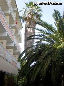[P10] Hotelul Ipsos - vazut din fata, la intrare » foto by miaboro
 - 
<span class="allrVoted glyphicon glyphicon-heart hidden" id="av494567"></span>
<a class="m-l-10 hidden" id="sv494567" onclick="voting_Foto_DelVot(,494567,4268)" role="button">șterge vot <span class="glyphicon glyphicon-remove"></span></a>
<a id="v9494567" class=" c-red"  onclick="voting_Foto_SetVot(494567)" role="button"><span class="glyphicon glyphicon-heart-empty"></span> <b>LIKE</b> = Votează poza</a> <img class="hidden"  id="f494567W9" src="/imagini/loader.gif" border="0" /><span class="AjErrMes hidden" id="e494567ErM"></span>