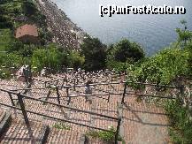 [P15] Lardarina,adica drumul cu 33 de scari si 382 de trepte,care coboara din Corniglia,catre gara. » foto by georgiana
 - 
<span class="allrVoted glyphicon glyphicon-heart hidden" id="av246098"></span>
<a class="m-l-10 hidden" id="sv246098" onclick="voting_Foto_DelVot(,246098,4285)" role="button">șterge vot <span class="glyphicon glyphicon-remove"></span></a>
<a id="v9246098" class=" c-red"  onclick="voting_Foto_SetVot(246098)" role="button"><span class="glyphicon glyphicon-heart-empty"></span> <b>LIKE</b> = Votează poza</a> <img class="hidden"  id="f246098W9" src="/imagini/loader.gif" border="0" /><span class="AjErrMes hidden" id="e246098ErM"></span>