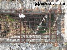 [P27] Via Dell'Amore-Cinque Terre....cativa indragostiti si-au ''blocat '' dragostea  cu lacate legate aici. » foto by georgiana
 - 
<span class="allrVoted glyphicon glyphicon-heart hidden" id="av246117"></span>
<a class="m-l-10 hidden" id="sv246117" onclick="voting_Foto_DelVot(,246117,4285)" role="button">șterge vot <span class="glyphicon glyphicon-remove"></span></a>
<a id="v9246117" class=" c-red"  onclick="voting_Foto_SetVot(246117)" role="button"><span class="glyphicon glyphicon-heart-empty"></span> <b>LIKE</b> = Votează poza</a> <img class="hidden"  id="f246117W9" src="/imagini/loader.gif" border="0" /><span class="AjErrMes hidden" id="e246117ErM"></span>