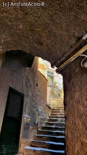 [P24] Riomaggiore -<i> </i>Scalinata Costa del Fuso, aproape de final » foto by k-lator
 - 
<span class="allrVoted glyphicon glyphicon-heart hidden" id="av1398282"></span>
<a class="m-l-10 hidden" id="sv1398282" onclick="voting_Foto_DelVot(,1398282,4285)" role="button">șterge vot <span class="glyphicon glyphicon-remove"></span></a>
<a id="v91398282" class=" c-red"  onclick="voting_Foto_SetVot(1398282)" role="button"><span class="glyphicon glyphicon-heart-empty"></span> <b>LIKE</b> = Votează poza</a> <img class="hidden"  id="f1398282W9" src="/imagini/loader.gif" border="0" /><span class="AjErrMes hidden" id="e1398282ErM"></span>