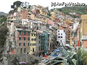 [P21] Cinque Terre » foto by vlado2
 - 
<span class="allrVoted glyphicon glyphicon-heart hidden" id="av456399"></span>
<a class="m-l-10 hidden" id="sv456399" onclick="voting_Foto_DelVot(,456399,4285)" role="button">șterge vot <span class="glyphicon glyphicon-remove"></span></a>
<a id="v9456399" class=" c-red"  onclick="voting_Foto_SetVot(456399)" role="button"><span class="glyphicon glyphicon-heart-empty"></span> <b>LIKE</b> = Votează poza</a> <img class="hidden"  id="f456399W9" src="/imagini/loader.gif" border="0" /><span class="AjErrMes hidden" id="e456399ErM"></span>