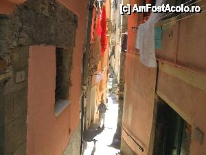 [P09] Stradutele din Vernazza » foto by vlado2
 - 
<span class="allrVoted glyphicon glyphicon-heart hidden" id="av456368"></span>
<a class="m-l-10 hidden" id="sv456368" onclick="voting_Foto_DelVot(,456368,4285)" role="button">șterge vot <span class="glyphicon glyphicon-remove"></span></a>
<a id="v9456368" class=" c-red"  onclick="voting_Foto_SetVot(456368)" role="button"><span class="glyphicon glyphicon-heart-empty"></span> <b>LIKE</b> = Votează poza</a> <img class="hidden"  id="f456368W9" src="/imagini/loader.gif" border="0" /><span class="AjErrMes hidden" id="e456368ErM"></span>