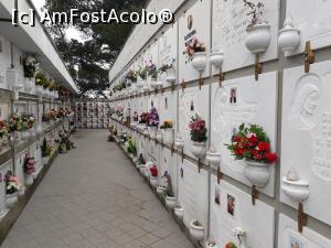 [P17] Cimitirul Mănăstirii Călugărilor Capucini, altfel decât știam eu că arată un cimitir.  » foto by Aurici
 - 
<span class="allrVoted glyphicon glyphicon-heart hidden" id="av967114"></span>
<a class="m-l-10 hidden" id="sv967114" onclick="voting_Foto_DelVot(,967114,4285)" role="button">șterge vot <span class="glyphicon glyphicon-remove"></span></a>
<a id="v9967114" class=" c-red"  onclick="voting_Foto_SetVot(967114)" role="button"><span class="glyphicon glyphicon-heart-empty"></span> <b>LIKE</b> = Votează poza</a> <img class="hidden"  id="f967114W9" src="/imagini/loader.gif" border="0" /><span class="AjErrMes hidden" id="e967114ErM"></span>