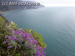 [P21] Marea Ligurică la Corniglia de pe Terasa Panoramică Santa Maria.  » foto by Aurici
 - 
<span class="allrVoted glyphicon glyphicon-heart hidden" id="av967552"></span>
<a class="m-l-10 hidden" id="sv967552" onclick="voting_Foto_DelVot(,967552,4285)" role="button">șterge vot <span class="glyphicon glyphicon-remove"></span></a>
<a id="v9967552" class=" c-red"  onclick="voting_Foto_SetVot(967552)" role="button"><span class="glyphicon glyphicon-heart-empty"></span> <b>LIKE</b> = Votează poza</a> <img class="hidden"  id="f967552W9" src="/imagini/loader.gif" border="0" /><span class="AjErrMes hidden" id="e967552ErM"></span>