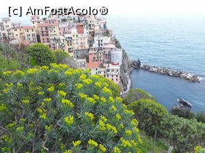 [P32] Manarola, vedere de pe Sentiero 506.  » foto by Aurici
 - 
<span class="allrVoted glyphicon glyphicon-heart hidden" id="av967563"></span>
<a class="m-l-10 hidden" id="sv967563" onclick="voting_Foto_DelVot(,967563,4285)" role="button">șterge vot <span class="glyphicon glyphicon-remove"></span></a>
<a id="v9967563" class=" c-red"  onclick="voting_Foto_SetVot(967563)" role="button"><span class="glyphicon glyphicon-heart-empty"></span> <b>LIKE</b> = Votează poza</a> <img class="hidden"  id="f967563W9" src="/imagini/loader.gif" border="0" /><span class="AjErrMes hidden" id="e967563ErM"></span>