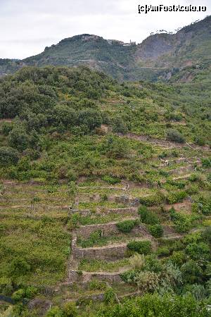 [P13] Corniglia » foto by msc*
 - 
<span class="allrVoted glyphicon glyphicon-heart hidden" id="av680397"></span>
<a class="m-l-10 hidden" id="sv680397" onclick="voting_Foto_DelVot(,680397,4285)" role="button">șterge vot <span class="glyphicon glyphicon-remove"></span></a>
<a id="v9680397" class=" c-red"  onclick="voting_Foto_SetVot(680397)" role="button"><span class="glyphicon glyphicon-heart-empty"></span> <b>LIKE</b> = Votează poza</a> <img class="hidden"  id="f680397W9" src="/imagini/loader.gif" border="0" /><span class="AjErrMes hidden" id="e680397ErM"></span>