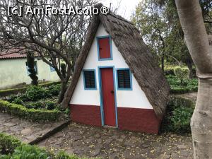 [P05] Grădina botanică din Funchal - căsuţă tradiţională gen Santana » foto by nicole33
 - 
<span class="allrVoted glyphicon glyphicon-heart hidden" id="av1497718"></span>
<a class="m-l-10 hidden" id="sv1497718" onclick="voting_Foto_DelVot(,1497718,4289)" role="button">șterge vot <span class="glyphicon glyphicon-remove"></span></a>
<a id="v91497718" class=" c-red"  onclick="voting_Foto_SetVot(1497718)" role="button"><span class="glyphicon glyphicon-heart-empty"></span> <b>LIKE</b> = Votează poza</a> <img class="hidden"  id="f1497718W9" src="/imagini/loader.gif" border="0" /><span class="AjErrMes hidden" id="e1497718ErM"></span>