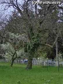 [P20] Castelul Iulia Hasdeu - vedere din gradina castelului (are numai un hectar!). » foto by cc_iordachescu
 - 
<span class="allrVoted glyphicon glyphicon-heart hidden" id="av55244"></span>
<a class="m-l-10 hidden" id="sv55244" onclick="voting_Foto_DelVot(,55244,4329)" role="button">șterge vot <span class="glyphicon glyphicon-remove"></span></a>
<a id="v955244" class=" c-red"  onclick="voting_Foto_SetVot(55244)" role="button"><span class="glyphicon glyphicon-heart-empty"></span> <b>LIKE</b> = Votează poza</a> <img class="hidden"  id="f55244W9" src="/imagini/loader.gif" border="0" /><span class="AjErrMes hidden" id="e55244ErM"></span>