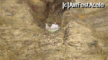 [P19] O alt fel de cutia milei... » foto by kelyboy
 - 
<span class="allrVoted glyphicon glyphicon-heart hidden" id="av289130"></span>
<a class="m-l-10 hidden" id="sv289130" onclick="voting_Foto_DelVot(,289130,4346)" role="button">șterge vot <span class="glyphicon glyphicon-remove"></span></a>
<a id="v9289130" class=" c-red"  onclick="voting_Foto_SetVot(289130)" role="button"><span class="glyphicon glyphicon-heart-empty"></span> <b>LIKE</b> = Votează poza</a> <img class="hidden"  id="f289130W9" src="/imagini/loader.gif" border="0" /><span class="AjErrMes hidden" id="e289130ErM"></span>