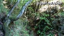 [P22] La intrarea in grota se termina si poteca amenajata » foto by kelyboy
 - 
<span class="allrVoted glyphicon glyphicon-heart hidden" id="av289135"></span>
<a class="m-l-10 hidden" id="sv289135" onclick="voting_Foto_DelVot(,289135,4346)" role="button">șterge vot <span class="glyphicon glyphicon-remove"></span></a>
<a id="v9289135" class=" c-red"  onclick="voting_Foto_SetVot(289135)" role="button"><span class="glyphicon glyphicon-heart-empty"></span> <b>LIKE</b> = Votează poza</a> <img class="hidden"  id="f289135W9" src="/imagini/loader.gif" border="0" /><span class="AjErrMes hidden" id="e289135ErM"></span>
