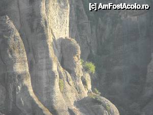 [P02] Nu știu dacă este o sculptură făcută de om, sau o lucrare a naturii. Nici nu am găsit pe cineva să îmi dea explicații. » foto by Ioan Raita
 - 
<span class="allrVoted glyphicon glyphicon-heart hidden" id="av428051"></span>
<a class="m-l-10 hidden" id="sv428051" onclick="voting_Foto_DelVot(,428051,4360)" role="button">șterge vot <span class="glyphicon glyphicon-remove"></span></a>
<a id="v9428051" class=" c-red"  onclick="voting_Foto_SetVot(428051)" role="button"><span class="glyphicon glyphicon-heart-empty"></span> <b>LIKE</b> = Votează poza</a> <img class="hidden"  id="f428051W9" src="/imagini/loader.gif" border="0" /><span class="AjErrMes hidden" id="e428051ErM"></span>