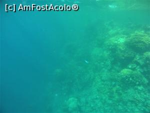 [P05] Snorkeling - in capatul pontonului la noi la hotel » foto by elenaadina
 - 
<span class="allrVoted glyphicon glyphicon-heart hidden" id="av1324123"></span>
<a class="m-l-10 hidden" id="sv1324123" onclick="voting_Foto_DelVot(,1324123,4365)" role="button">șterge vot <span class="glyphicon glyphicon-remove"></span></a>
<a id="v91324123" class=" c-red"  onclick="voting_Foto_SetVot(1324123)" role="button"><span class="glyphicon glyphicon-heart-empty"></span> <b>LIKE</b> = Votează poza</a> <img class="hidden"  id="f1324123W9" src="/imagini/loader.gif" border="0" /><span class="AjErrMes hidden" id="e1324123ErM"></span>