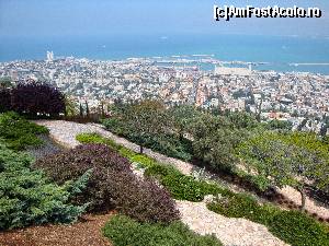 [P69] Haifa - Grădinile Bahá'í, vedere din zona Balconului Yefe Nof » foto by mariana.olaru
 - 
<span class="allrVoted glyphicon glyphicon-heart hidden" id="av628749"></span>
<a class="m-l-10 hidden" id="sv628749" onclick="voting_Foto_DelVot(,628749,4368)" role="button">șterge vot <span class="glyphicon glyphicon-remove"></span></a>
<a id="v9628749" class=" c-red"  onclick="voting_Foto_SetVot(628749)" role="button"><span class="glyphicon glyphicon-heart-empty"></span> <b>LIKE</b> = Votează poza</a> <img class="hidden"  id="f628749W9" src="/imagini/loader.gif" border="0" /><span class="AjErrMes hidden" id="e628749ErM"></span>