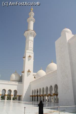 [P96]  -- <small>// FĂRĂ DESCRIERE</small> » foto by Alina53
 - 
<span class="allrVoted glyphicon glyphicon-heart hidden" id="av800829"></span>
<a class="m-l-10 hidden" id="sv800829" onclick="voting_Foto_DelVot(,800829,4375)" role="button">șterge vot <span class="glyphicon glyphicon-remove"></span></a>
<a id="v9800829" class=" c-red"  onclick="voting_Foto_SetVot(800829)" role="button"><span class="glyphicon glyphicon-heart-empty"></span> <b>LIKE</b> = Votează poza</a> <img class="hidden"  id="f800829W9" src="/imagini/loader.gif" border="0" /><span class="AjErrMes hidden" id="e800829ErM"></span>