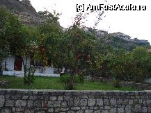 [P39]  -- <small>// FĂRĂ DESCRIERE</small> » foto by ionescunic
 - 
<span class="allrVoted glyphicon glyphicon-heart hidden" id="av56074"></span>
<a class="m-l-10 hidden" id="sv56074" onclick="voting_Foto_DelVot(,56074,4378)" role="button">șterge vot <span class="glyphicon glyphicon-remove"></span></a>
<a id="v956074" class=" c-red"  onclick="voting_Foto_SetVot(56074)" role="button"><span class="glyphicon glyphicon-heart-empty"></span> <b>LIKE</b> = Votează poza</a> <img class="hidden"  id="f56074W9" src="/imagini/loader.gif" border="0" /><span class="AjErrMes hidden" id="e56074ErM"></span>
