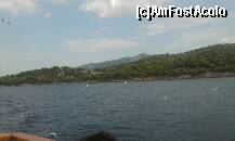 [P12] pescarusii ne-au insotit in croaziera » foto by lica baesu
 - 
<span class="allrVoted glyphicon glyphicon-heart hidden" id="av151677"></span>
<a class="m-l-10 hidden" id="sv151677" onclick="voting_Foto_DelVot(,151677,4378)" role="button">șterge vot <span class="glyphicon glyphicon-remove"></span></a>
<a id="v9151677" class=" c-red"  onclick="voting_Foto_SetVot(151677)" role="button"><span class="glyphicon glyphicon-heart-empty"></span> <b>LIKE</b> = Votează poza</a> <img class="hidden"  id="f151677W9" src="/imagini/loader.gif" border="0" /><span class="AjErrMes hidden" id="e151677ErM"></span>