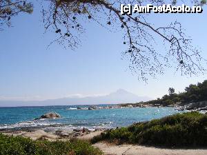 [P01] Portokali Beach » foto by Tzutzuricu40
 - 
<span class="allrVoted glyphicon glyphicon-heart hidden" id="av396244"></span>
<a class="m-l-10 hidden" id="sv396244" onclick="voting_Foto_DelVot(,396244,4378)" role="button">șterge vot <span class="glyphicon glyphicon-remove"></span></a>
<a id="v9396244" class=" c-red"  onclick="voting_Foto_SetVot(396244)" role="button"><span class="glyphicon glyphicon-heart-empty"></span> <b>LIKE</b> = Votează poza</a> <img class="hidden"  id="f396244W9" src="/imagini/loader.gif" border="0" /><span class="AjErrMes hidden" id="e396244ErM"></span>