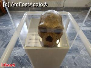 [P49] Mulajul craniului uman găsit la Petralona » foto by Costi
 - 
<span class="allrVoted glyphicon glyphicon-heart hidden" id="av866939"></span>
<a class="m-l-10 hidden" id="sv866939" onclick="voting_Foto_DelVot(,866939,4378)" role="button">șterge vot <span class="glyphicon glyphicon-remove"></span></a>
<a id="v9866939" class=" c-red"  onclick="voting_Foto_SetVot(866939)" role="button"><span class="glyphicon glyphicon-heart-empty"></span> <b>LIKE</b> = Votează poza</a> <img class="hidden"  id="f866939W9" src="/imagini/loader.gif" border="0" /><span class="AjErrMes hidden" id="e866939ErM"></span>