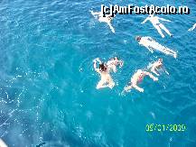 [P01] observati culoarea apei-locul langa plaja unde am ancorat, in drumul spre Laguna Albastra » foto by adryana
 - 
<span class="allrVoted glyphicon glyphicon-heart hidden" id="av99650"></span>
<a class="m-l-10 hidden" id="sv99650" onclick="voting_Foto_DelVot(,99650,4378)" role="button">șterge vot <span class="glyphicon glyphicon-remove"></span></a>
<a id="v999650" class=" c-red"  onclick="voting_Foto_SetVot(99650)" role="button"><span class="glyphicon glyphicon-heart-empty"></span> <b>LIKE</b> = Votează poza</a> <img class="hidden"  id="f99650W9" src="/imagini/loader.gif" border="0" /><span class="AjErrMes hidden" id="e99650ErM"></span>